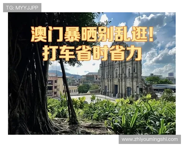 新澳门在线用户评价与真实体验分享帮助新手选择优质线上博彩平台的实用指南