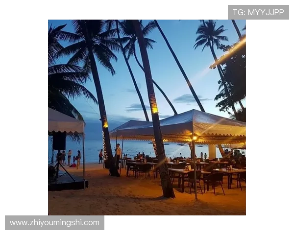 海岛娱乐场的特色玩法和创新项目介绍带你领略热带娱乐新风尚