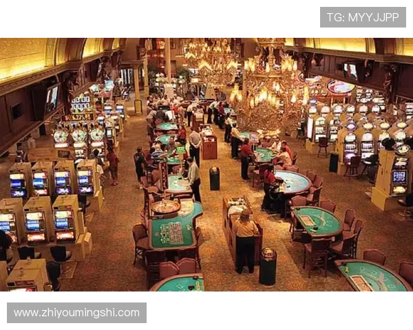 澳门六大赌牌对旅游业和相关产业的带动作用，促进澳门多元经济发展