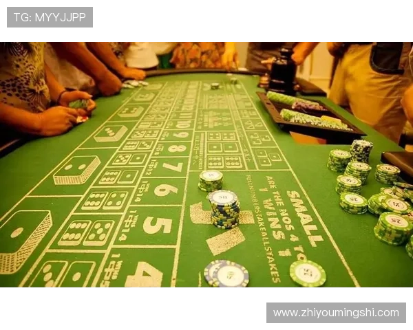 澳门新濠天地赌场娱乐项目全攻略，体验多样化娱乐享受无限精彩