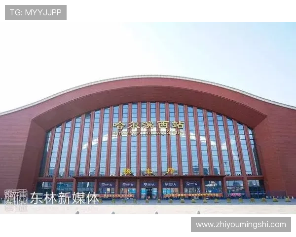 澳门金龙娱乐场位置交通指南，方便快捷抵达享受高品质娱乐体验